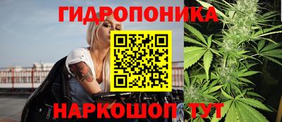 таблы Краснознаменск