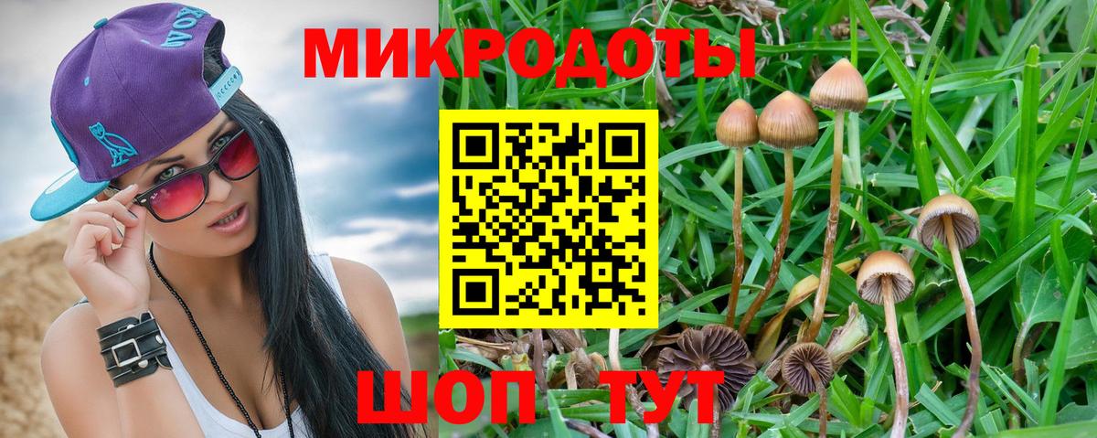 Галлюциногенные грибы Magic Shrooms Уссурийск