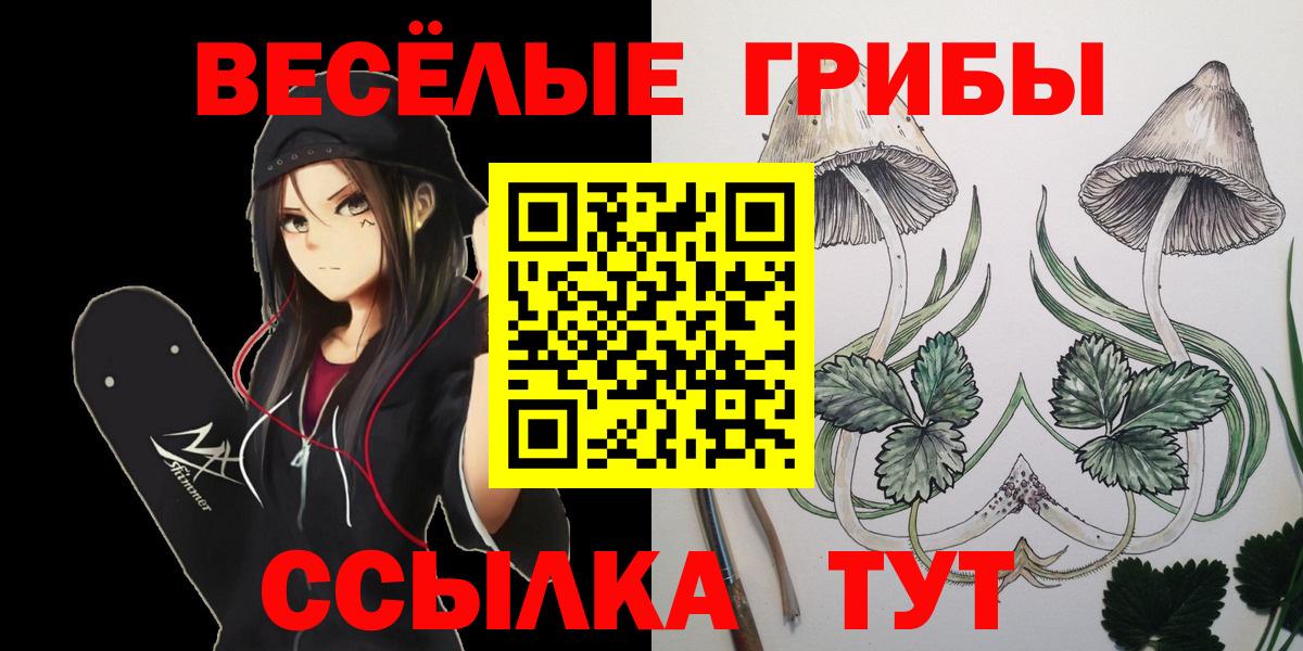 Галлюциногенные грибы Psilocybe  Галлюциногенные грибы ЛСД  где продают наркотики  Вход с VPN  Уссурийск 